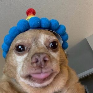 Meet your Posher, Nina